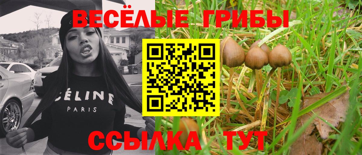 Псилоцибиновые грибы ЛСД  Вход с VPN  цена   Северобайкальск 